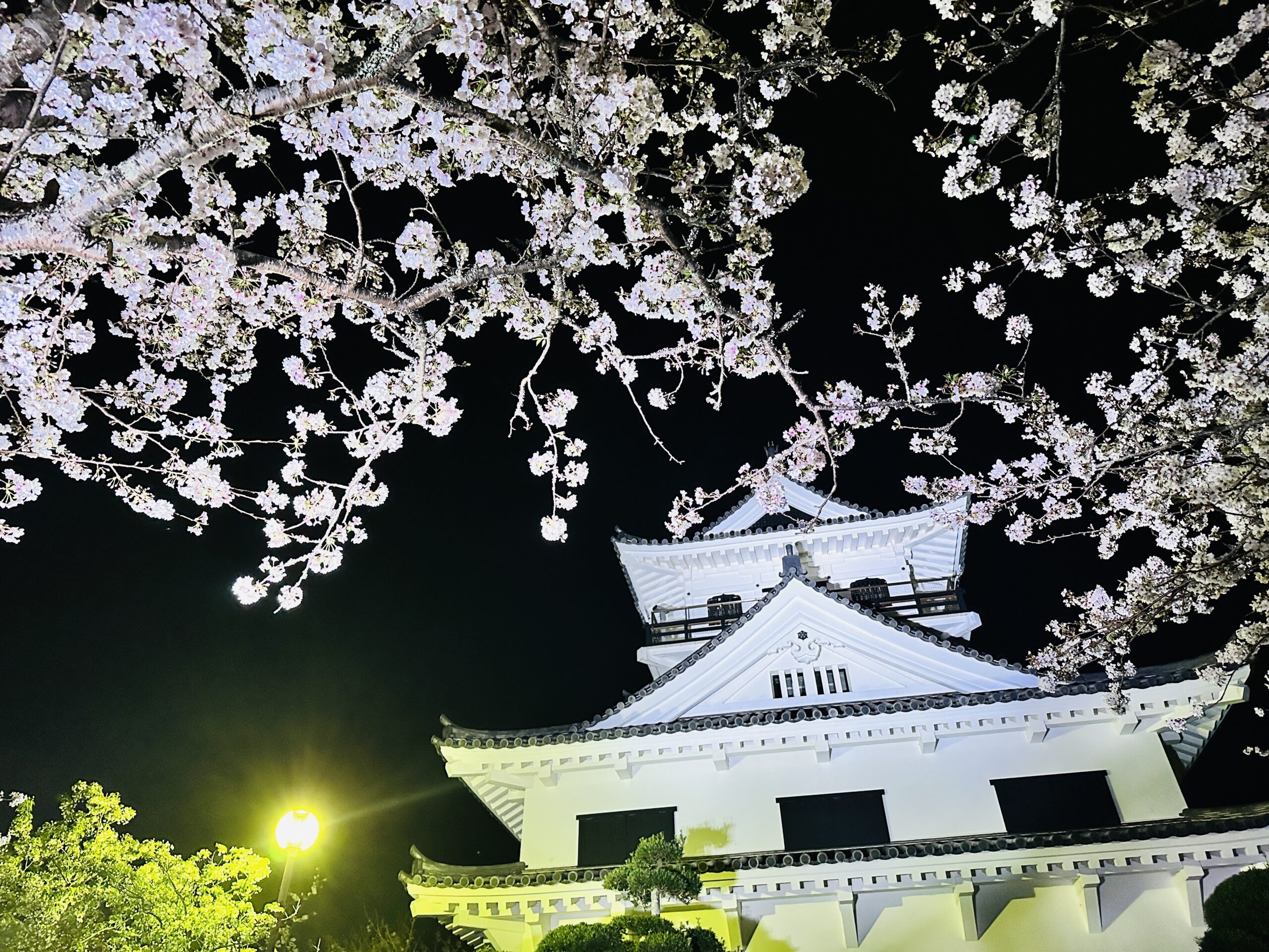 館山城 八犬伝博物館