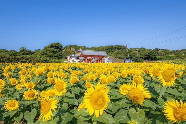 満願寺 | ぐるっと千葉｜グルメ・レジャー・イベントなど！千葉県の