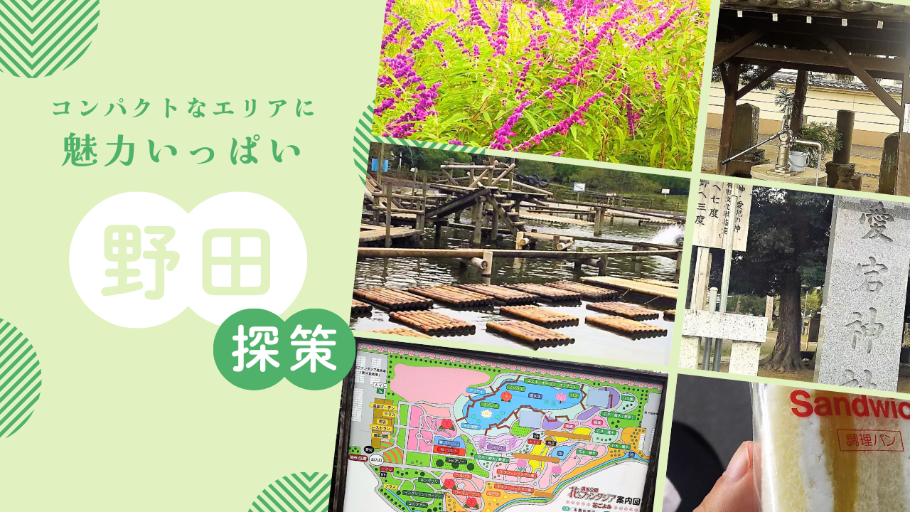 しょう油の街 野田市 愛宕神社~清水公園を散策