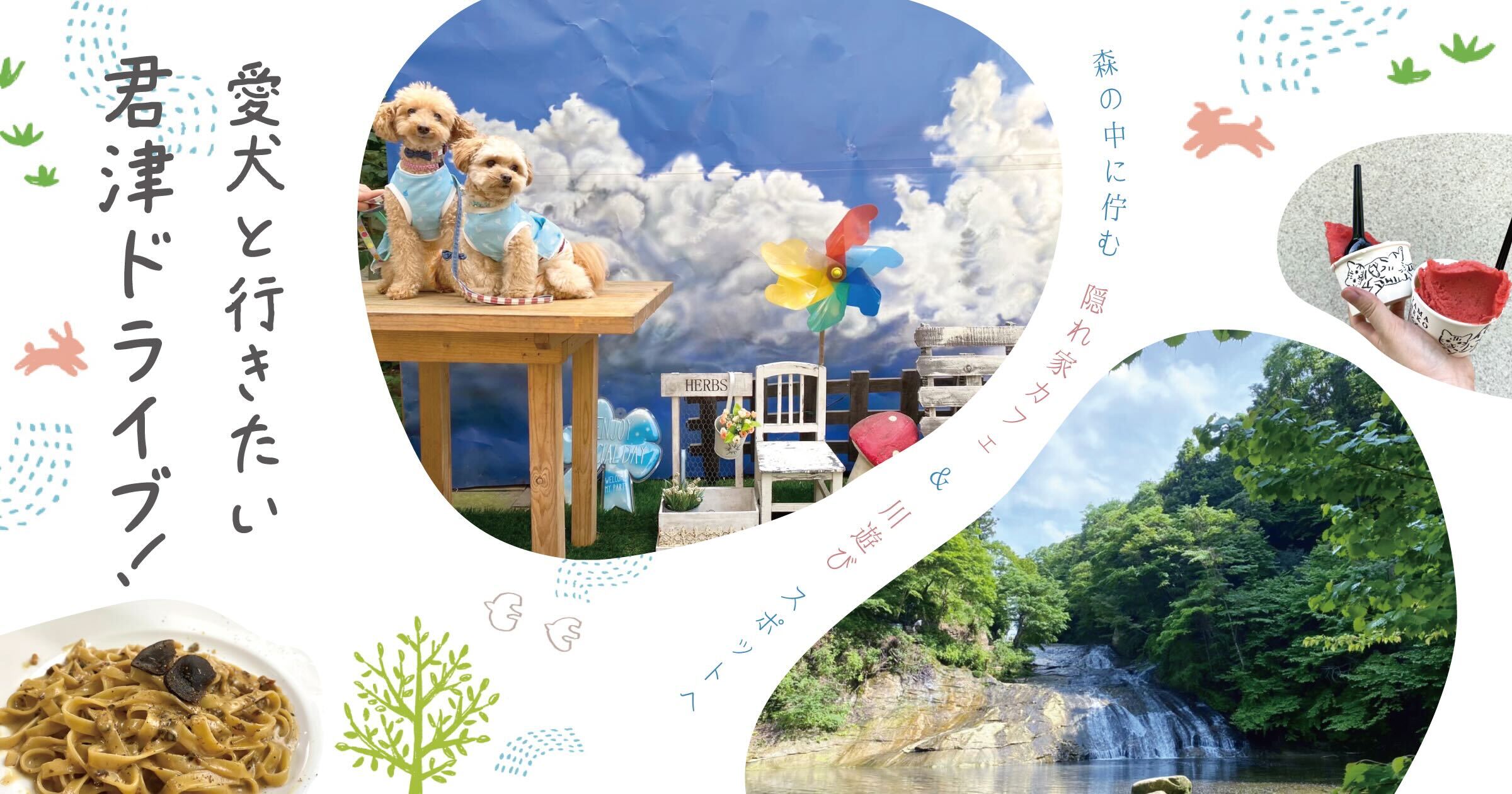 愛犬と行きたい君津ドライブ!森の中に佇む隠れ家カフェ&川遊びスポットへ