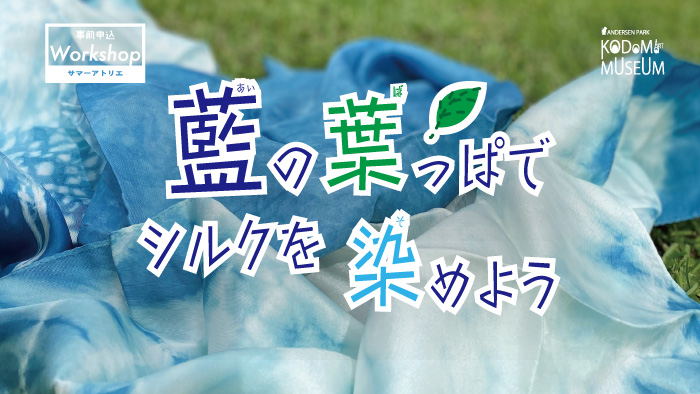 藍の葉っぱでシルクを染めよう!