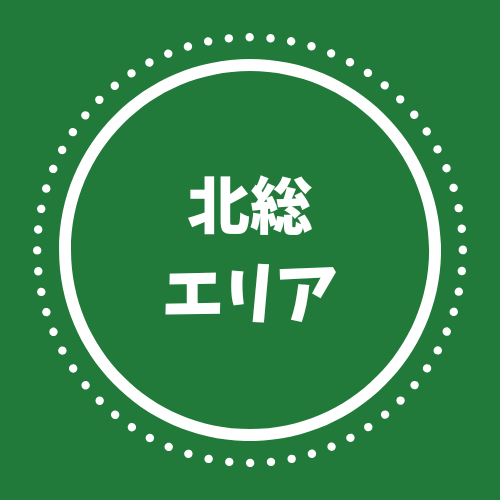 第126回水郷おみがわ花火大会