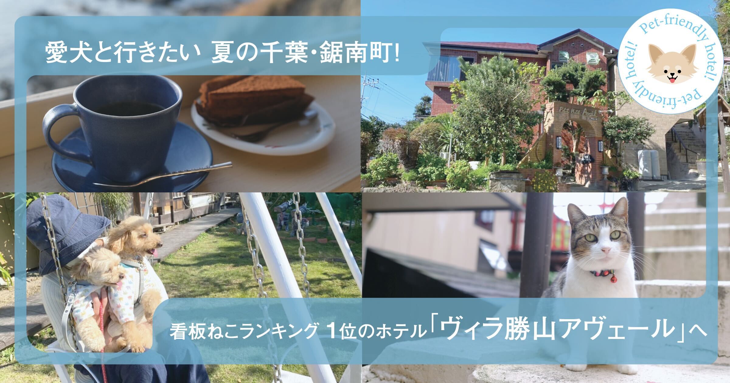 愛犬と行きたい夏の千葉・鋸南町!看板ねこランキング1位のホテル「ヴィラ勝山アヴェール」へ