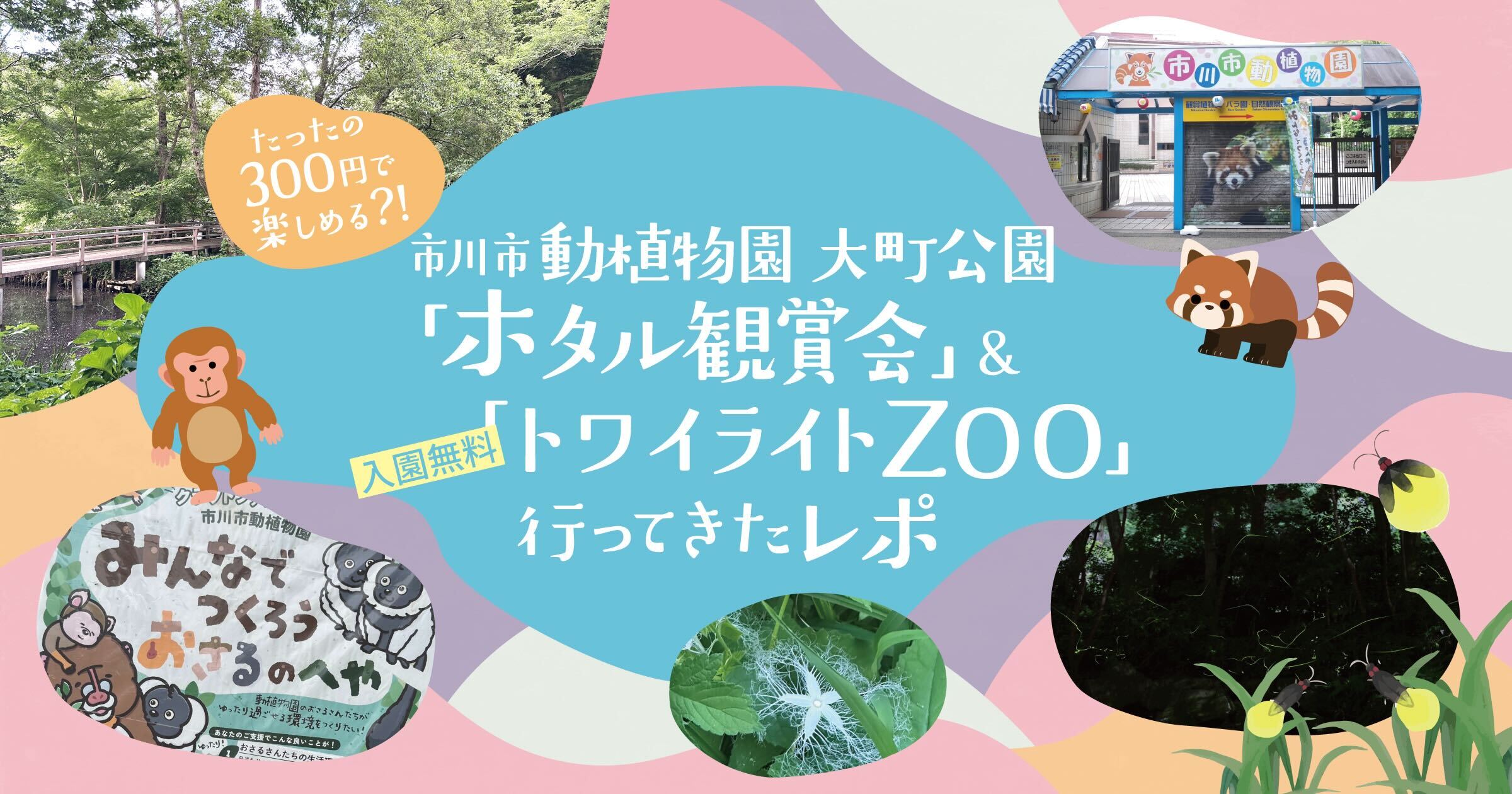 たったの300円で楽しめる?!市川市動植物園 大町公園「ホタル観賞会」&入園無料「トワイライトZOO」行ってきたレポ
