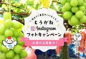 とうがねInstagramフォトキャンペーン応募作品募集!