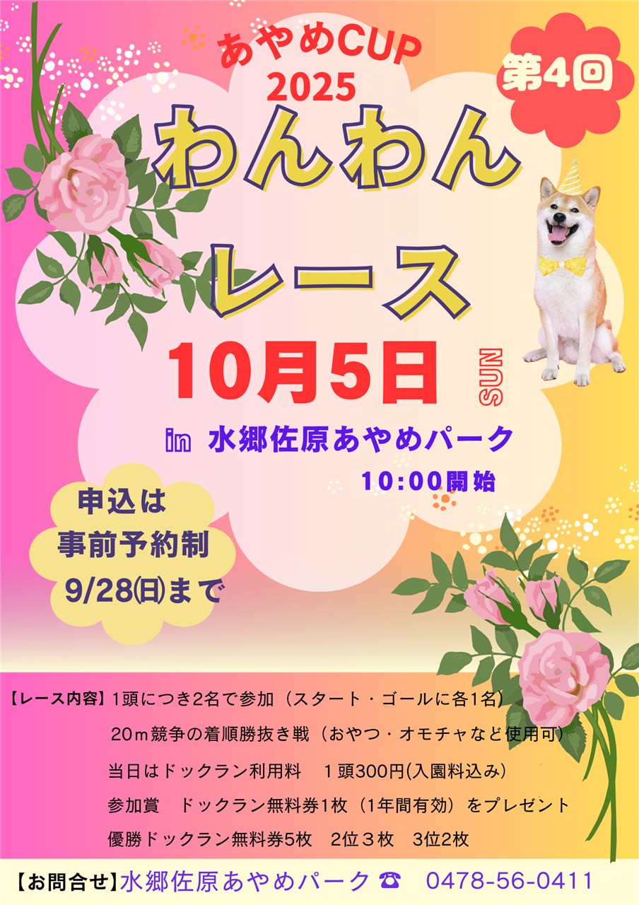 第4回「あやめCUP わんわんレース」