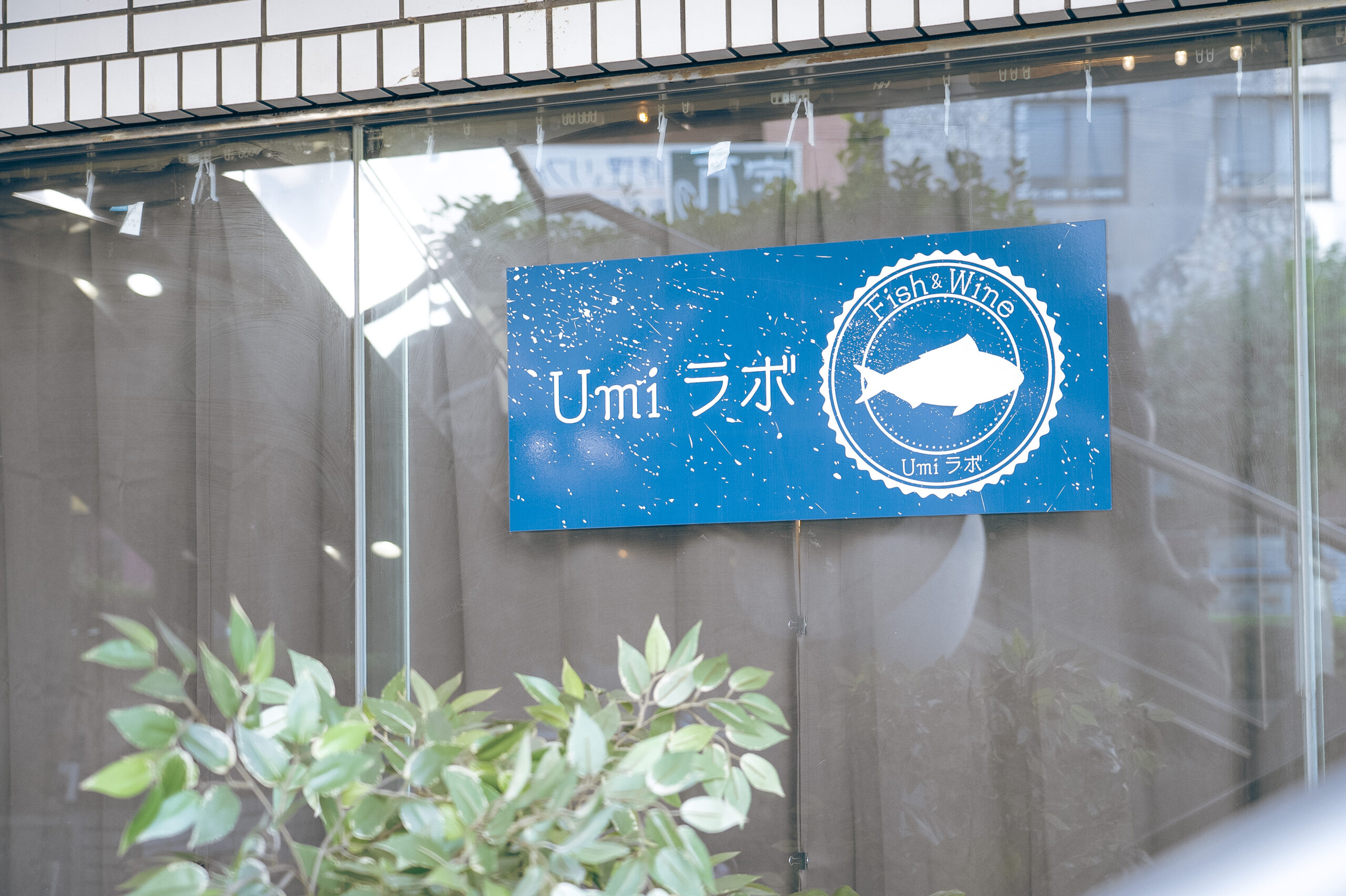 海鮮イタリアン中華酒場 UMIラボ 千葉店