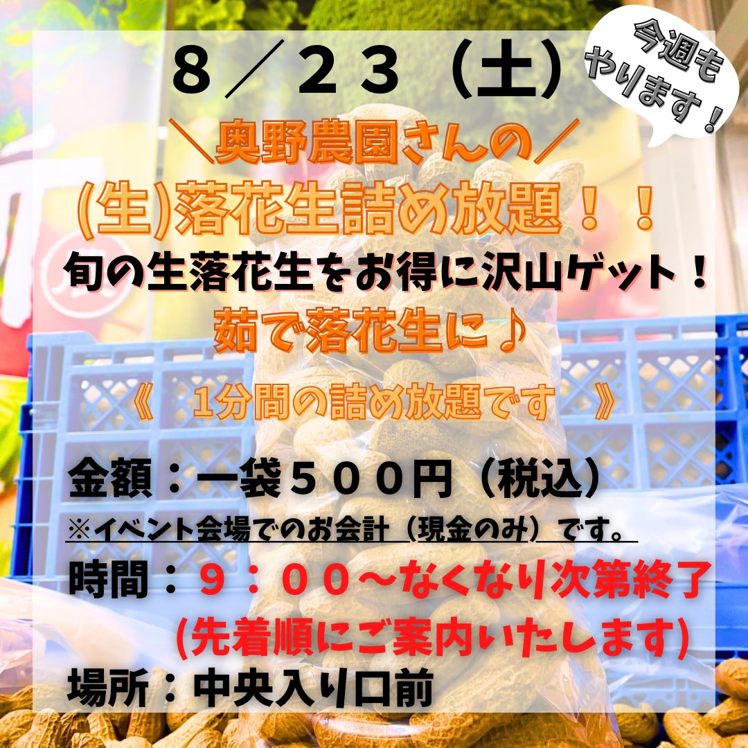 生・落花生詰め放題