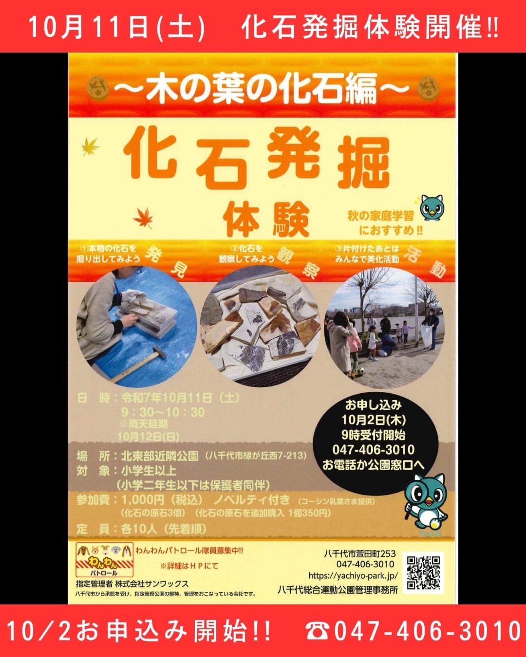 ~木の葉の化石編~ 化石発掘体験