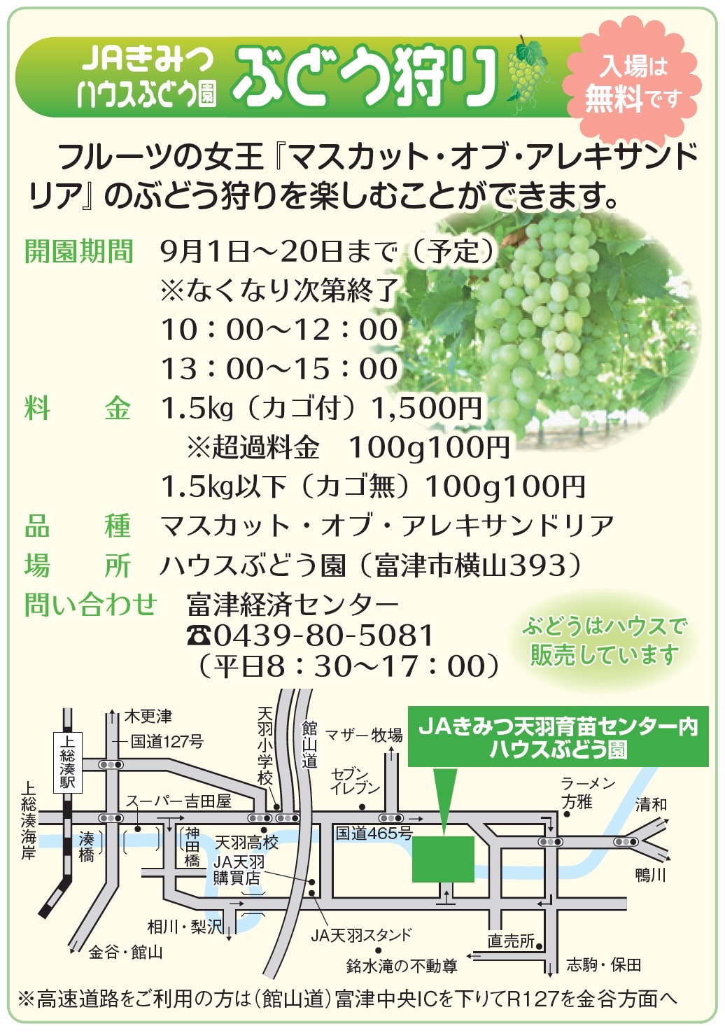 JAきみつ ぶどう狩り