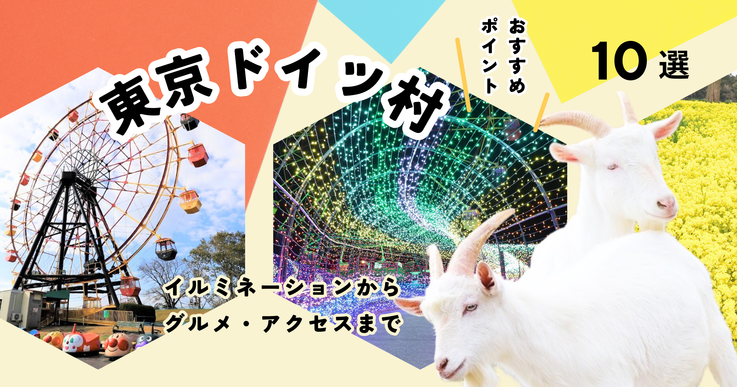 東京ドイツ村のおすすめポイント10選!|イルミネーションからグルメ・アクセスまで