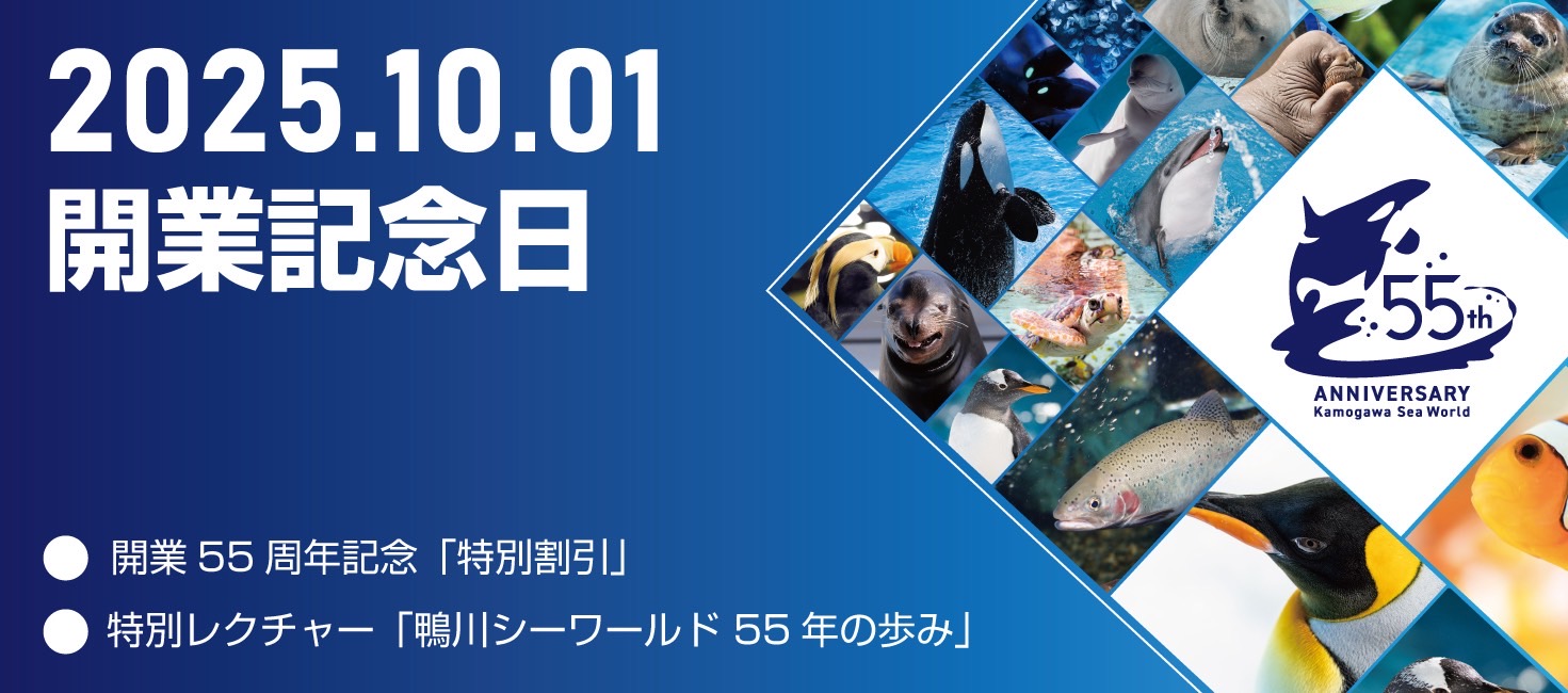 開業55周年記念「特別割引」