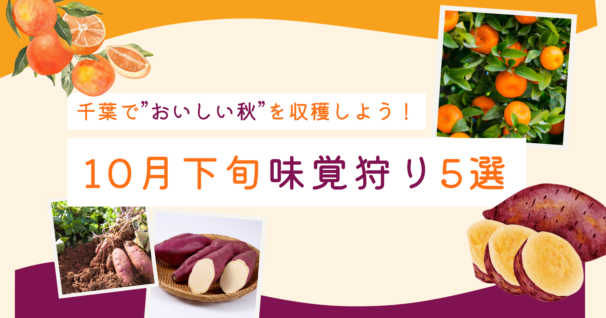 千葉で“おいしい秋”を収穫しよう!——10月下旬に行ける味覚狩り5選