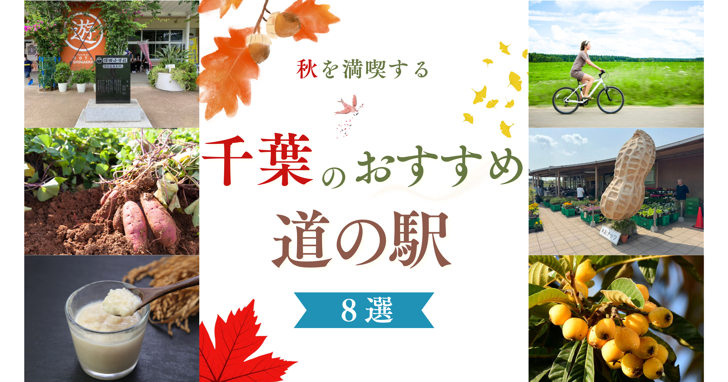 千葉の道の駅8選|“食欲の秋”に一度は行きたいグルメ&体験スポット
