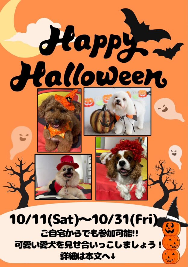 わんちゃんランドハロウィンイベント フォトギャラリー-ハロウィンver.-