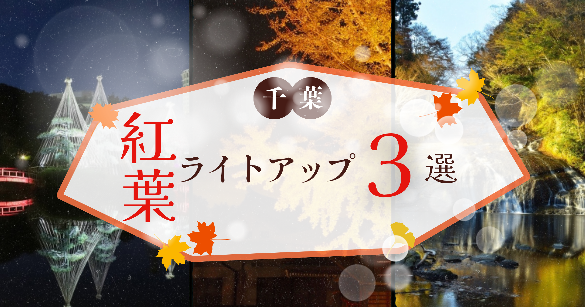 千葉の紅葉ライトアップBEST3!幻想的な水鏡と黄金に輝くパワースポット