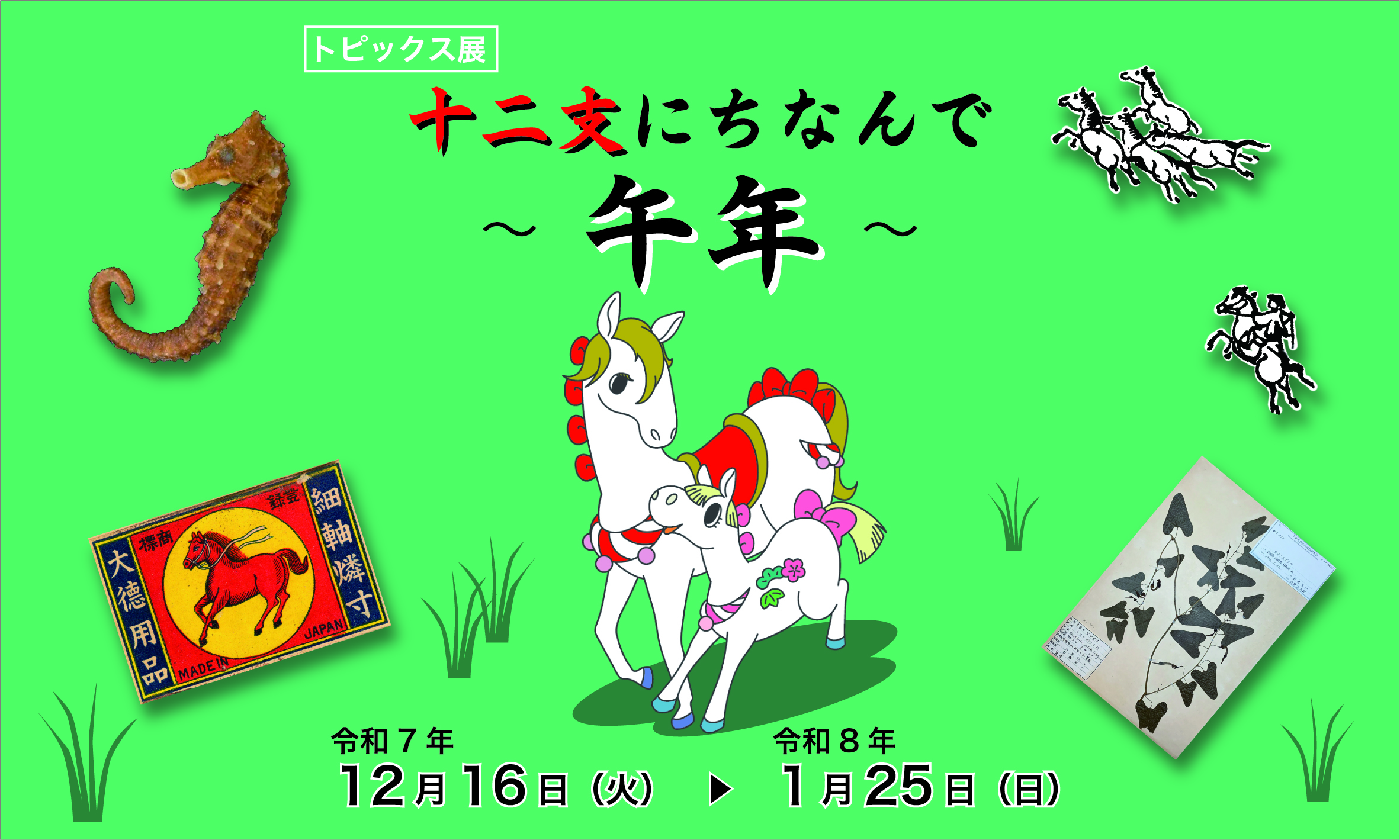 十二支にちなんで -午年-