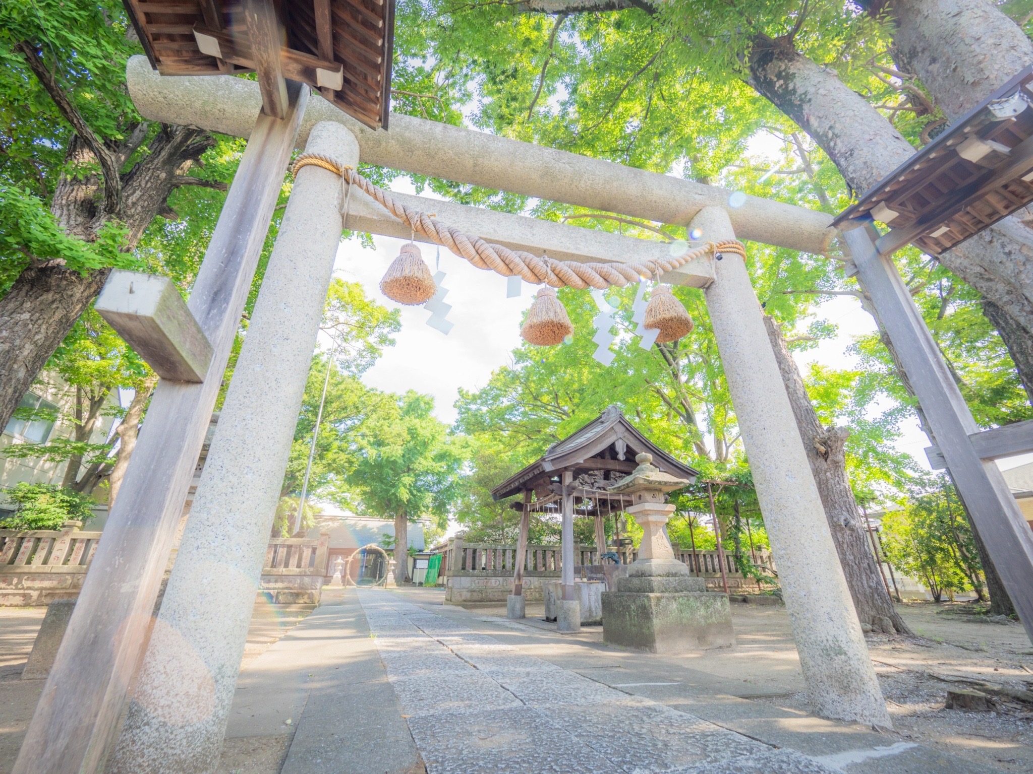 蘇我ひめ横丁/蘇我比咩(そがひめ)神社