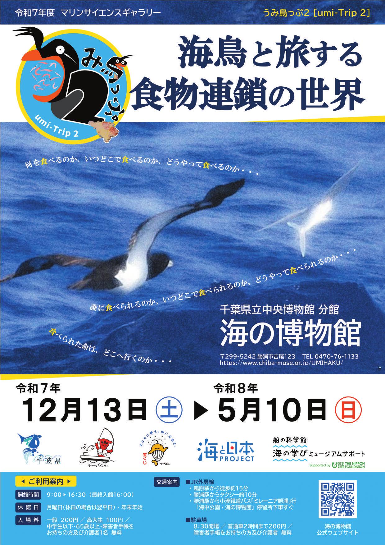 令和7年度マリンサイエンスギャラリー「うみ鳥っぷ２ [umi-Trip 2] ―海鳥と旅する食物連鎖の世界―」
