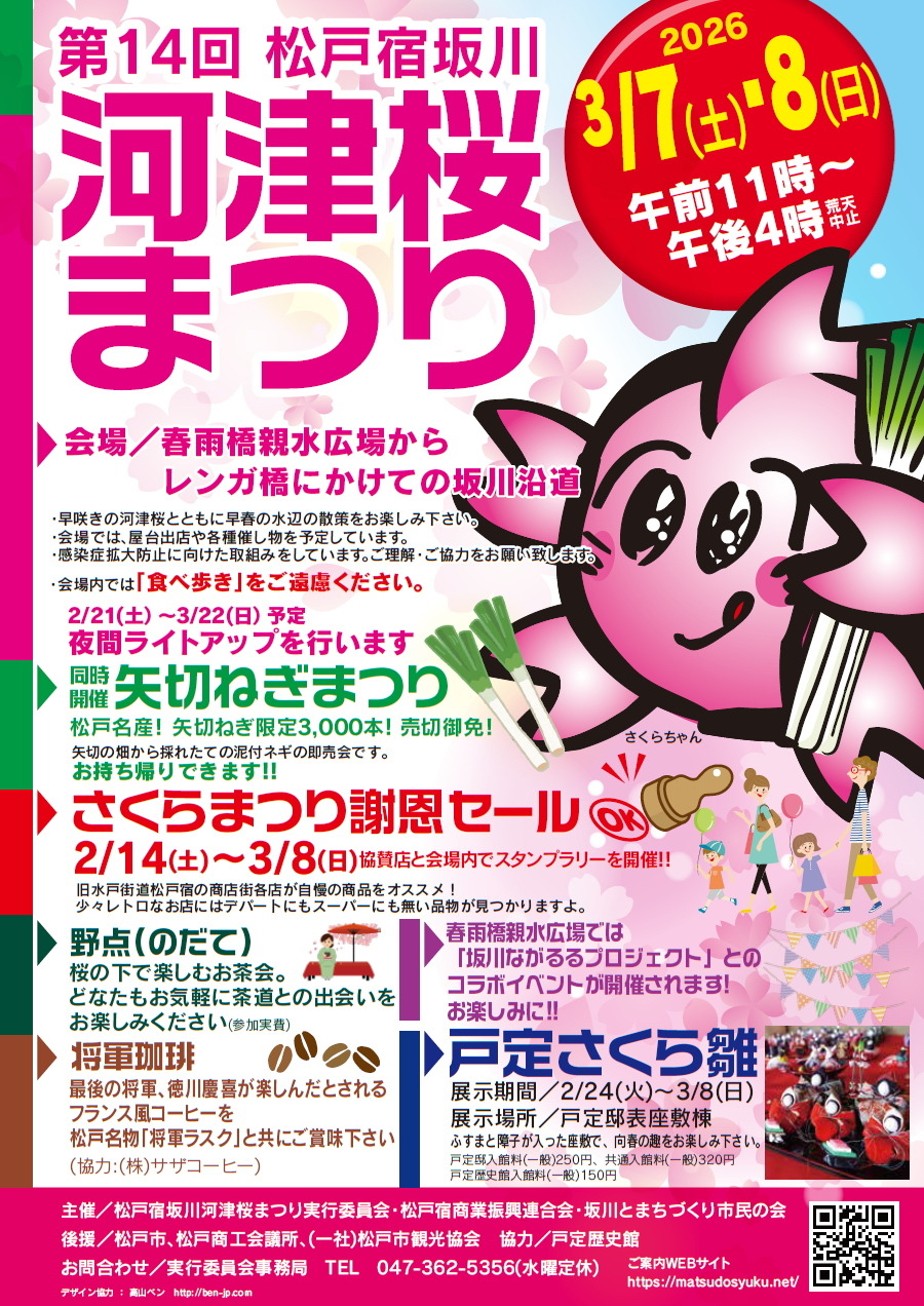 松戸宿坂川河津桜まつり
