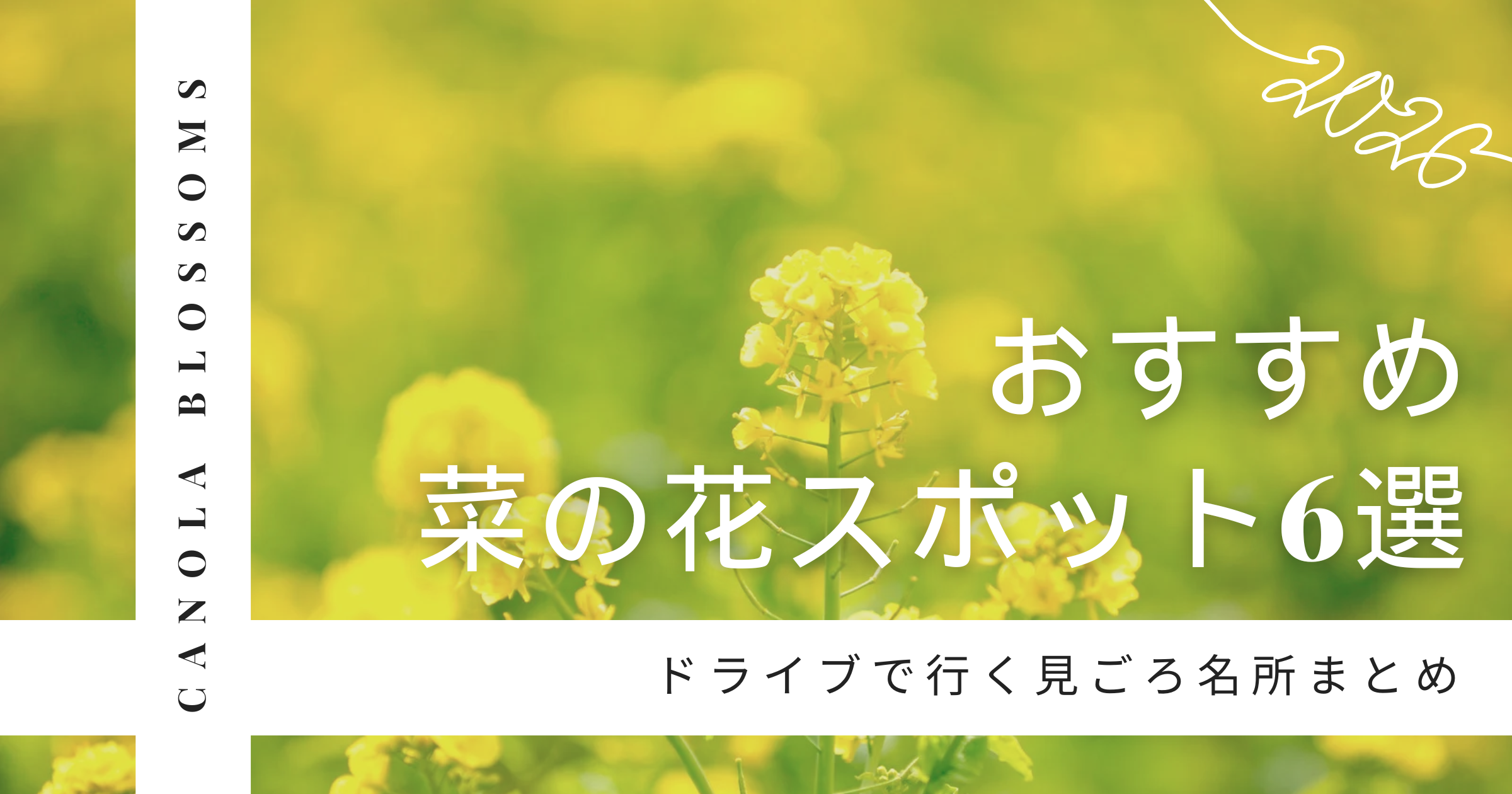 【2026年】千葉県おすすめ菜の花スポット6選!ドライブで行く見ごろ名所まとめ
