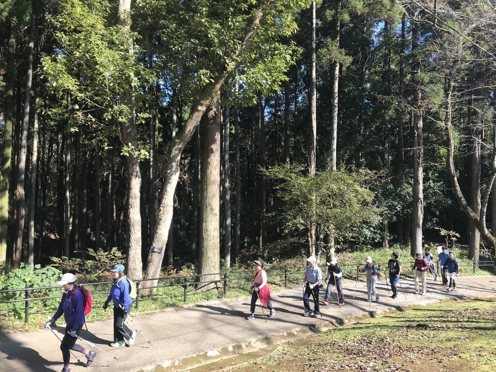 ノルディックウォーク(泉自然公園)