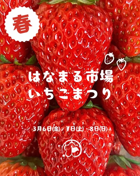 はなまるいちごまつり(ローズマリー公園)