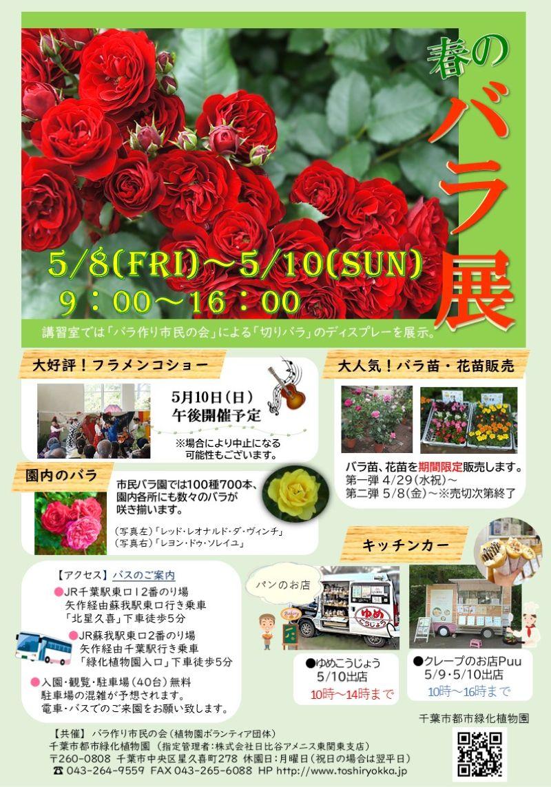 春のバラ展(千葉市都市緑化植物園)