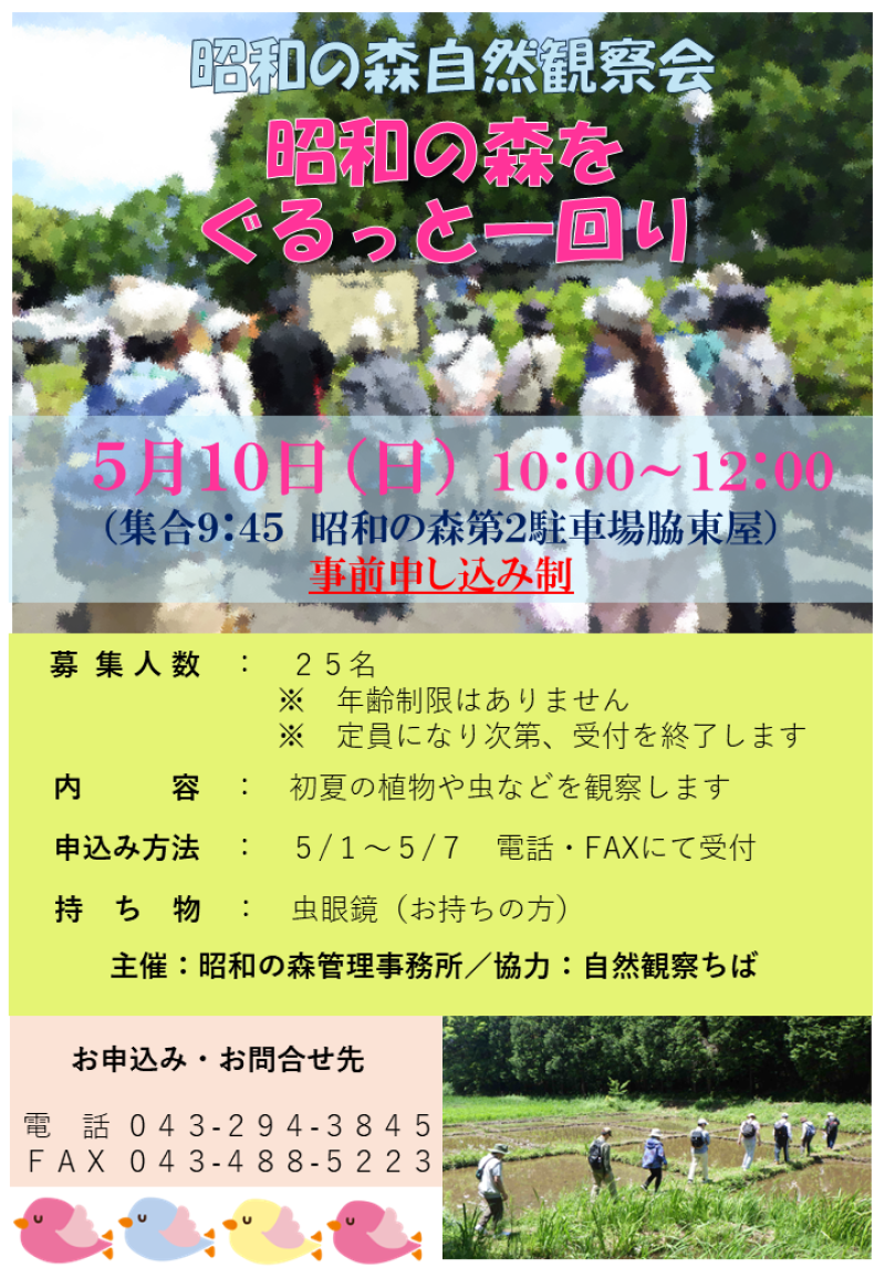 5月自然観察会(昭和の森)