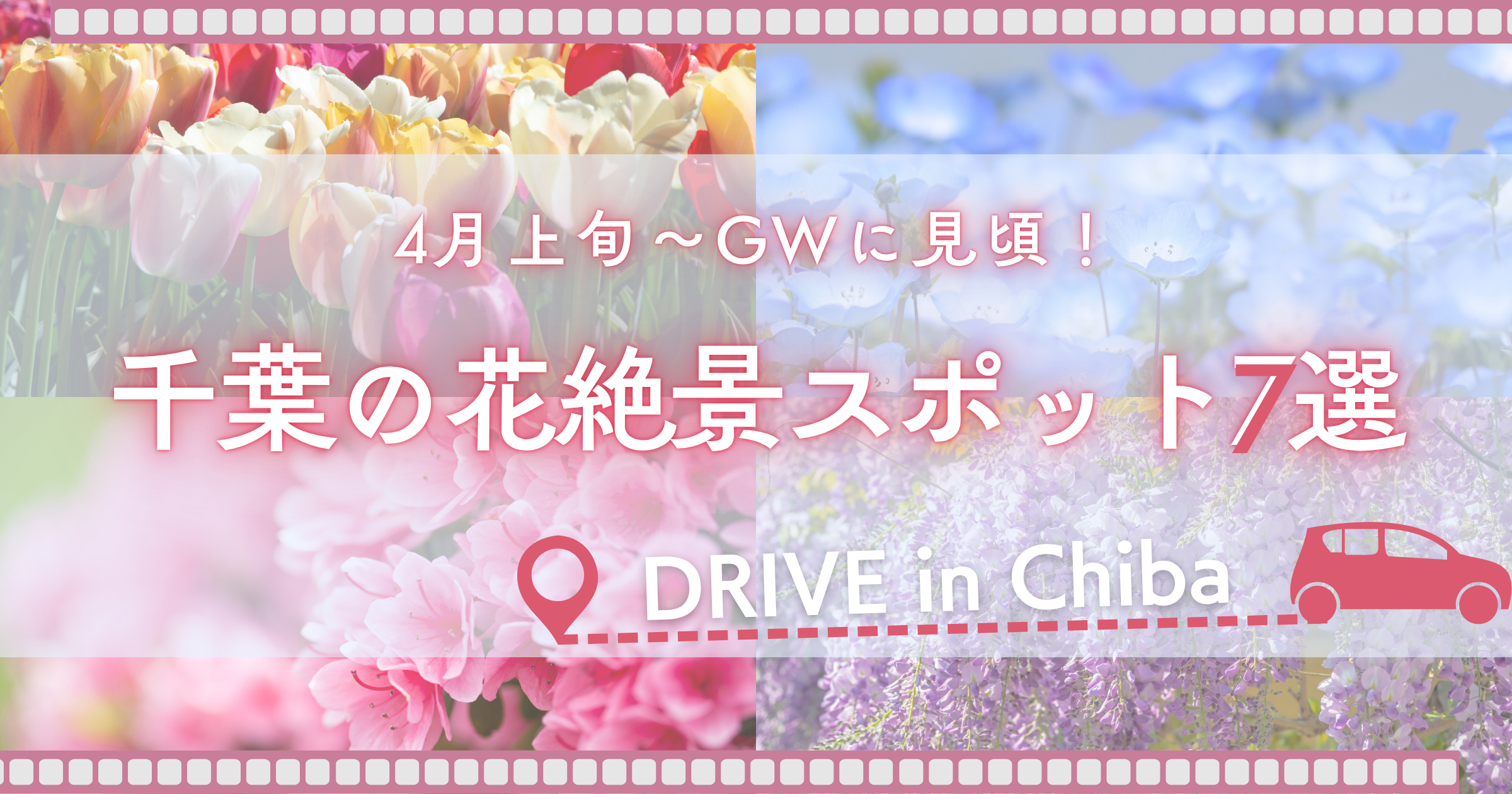 【千葉ドライブ】4月上旬〜GWに見頃!千葉の花絶景スポット7選