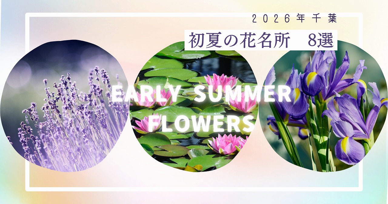 【千葉】初夏の花名所8選!あやめ・ラベンダー・花菖蒲等