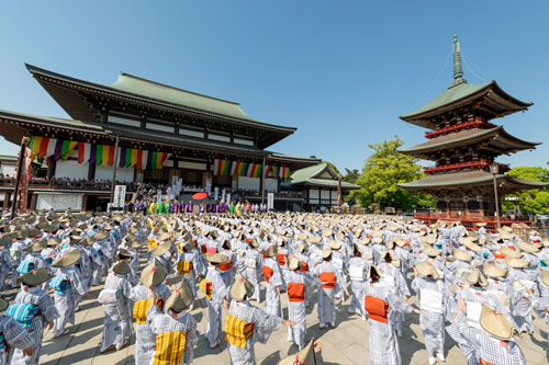 成田山平和大塔まつり奉納総踊り