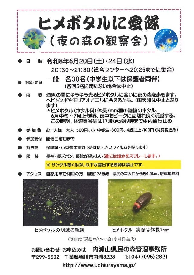 ヒメボタルに愛隊(千葉県立内浦山県民の森・6月24日開催)